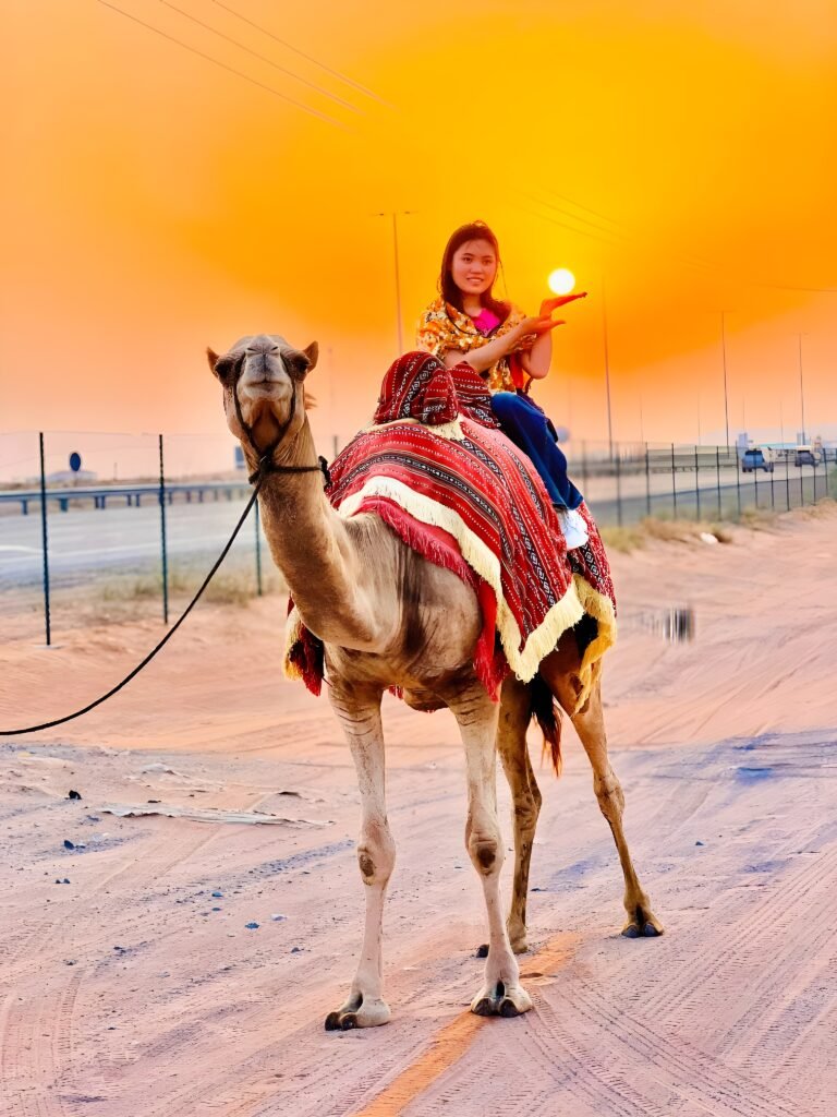 d24fafc7-85c7-4778-9afe-0fef86a5cd47